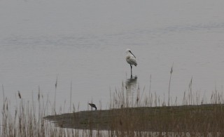 texel2018-94